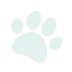 A teal-colored paw print with four toes on a transparent background.