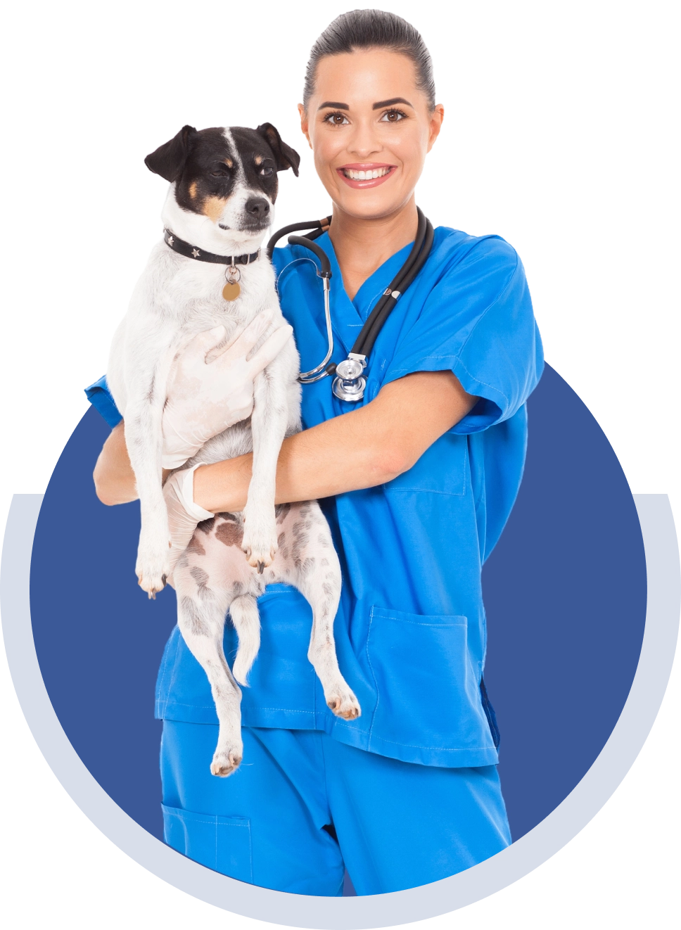 A woman in blue scrubs smiles while holding a small black and white dog. She has a stethoscope around her neck.